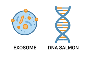 Ilustrasi perbandingan Exosome dan DNA Salmon Polynucleotide untuk regenerasi kulit, menunjukkan perbedaan fungsi komunikasi sel dan perbaikan struktur kulit."